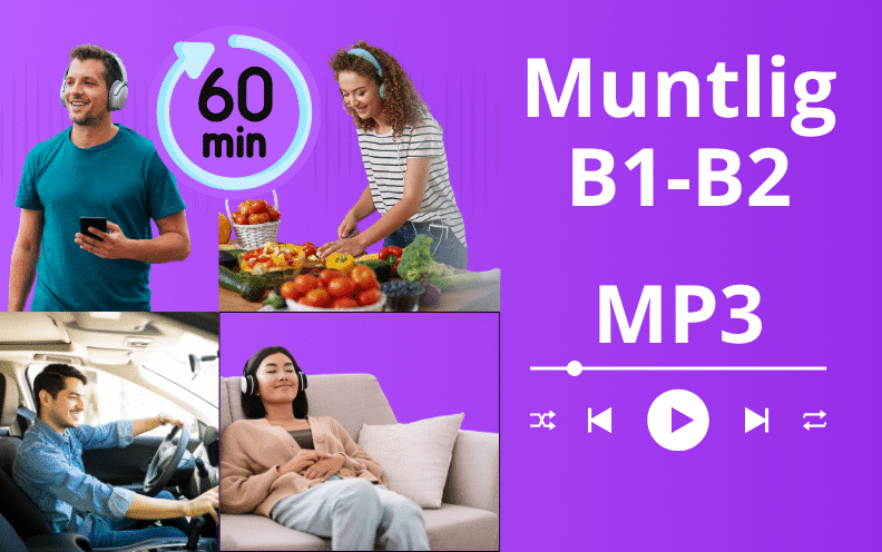 Lydfil (MP3) Muntlig norskprøve B1–B2 - Lytt og lær