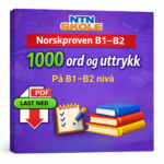 1000 ord og uttrykk du må kunne til Norskprøven B1–B2