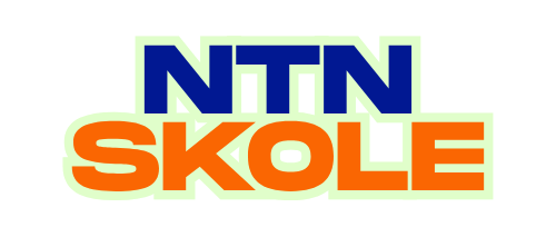 NTN SKOLE LOGO