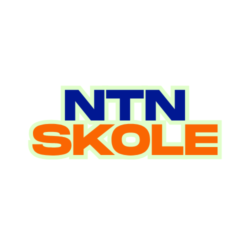 NTN SKOLE LOGO